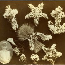 Floral Displays and a Portrait of an Unidentified Young Girl